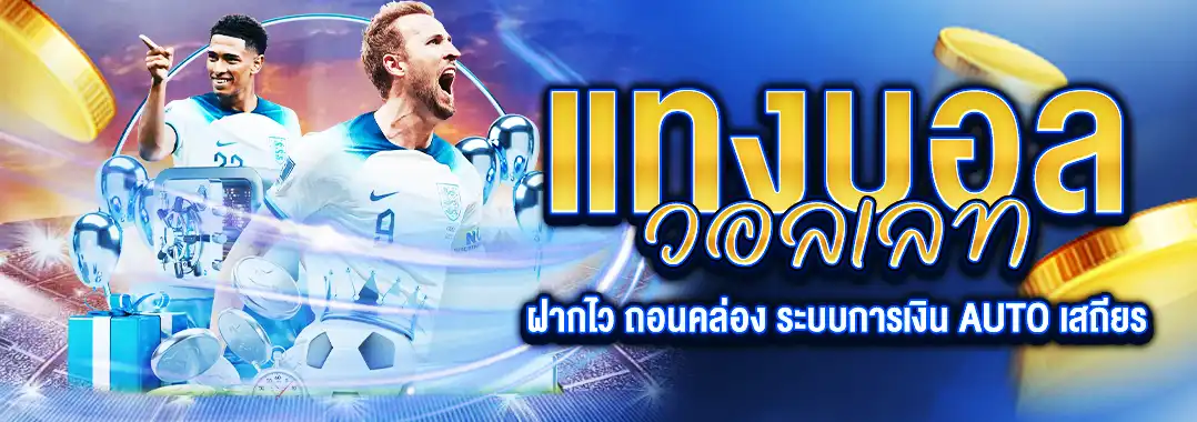 แทงบอลวอลเลท